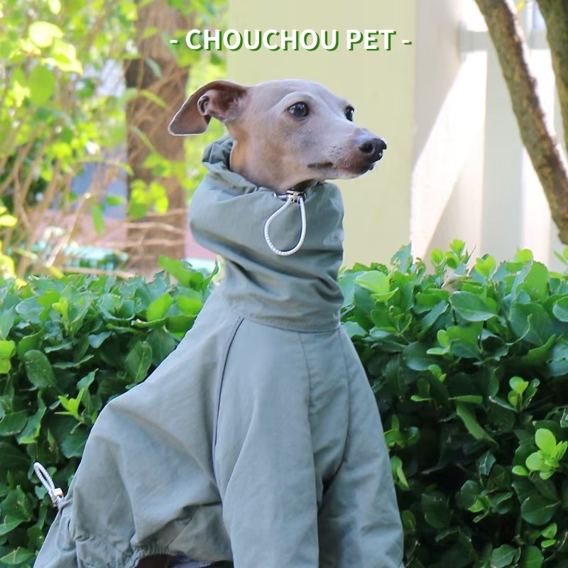 Płaszcz przeciwdeszczowy dla c – Winter Clothing For Dogs recenzja i cena
