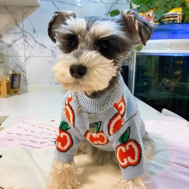 Sweter dla psa z literami, baw – Winter Clothing For Dogs recenzja i cena