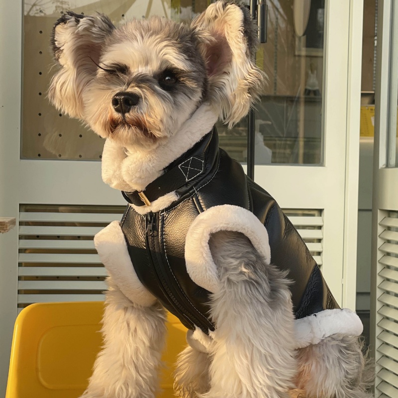 Pet jesienno-zimowa aksamitna  – Winter Clothing For Dogs recenzja i cena